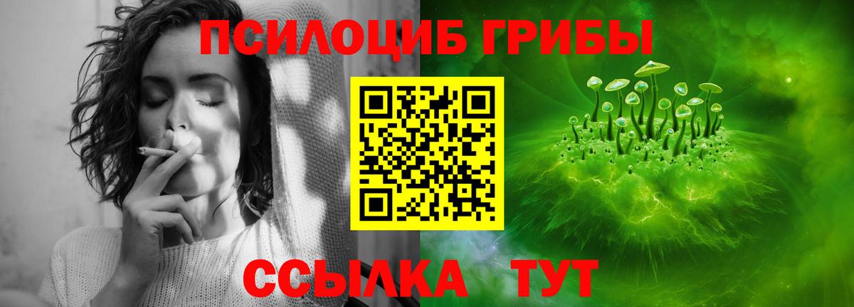 Галлюциногенные грибы MAGIC MUSHROOMS  где можно купить   Сосновоборск  Вход с VPN  Псилоцибиновые грибы GOLDEN TEACHER 